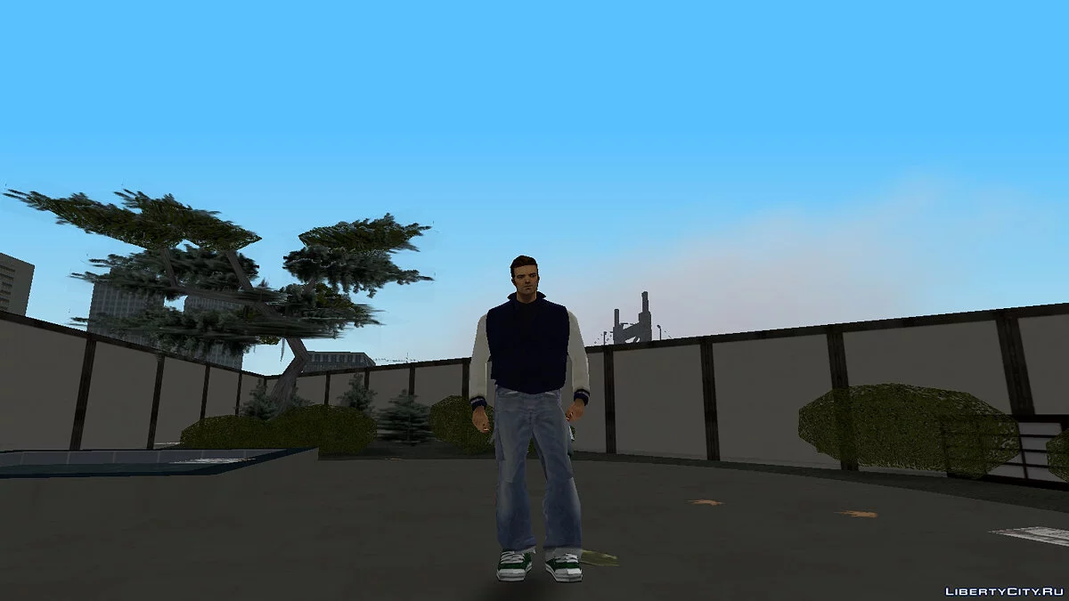 Collection of skins / GTA 3
