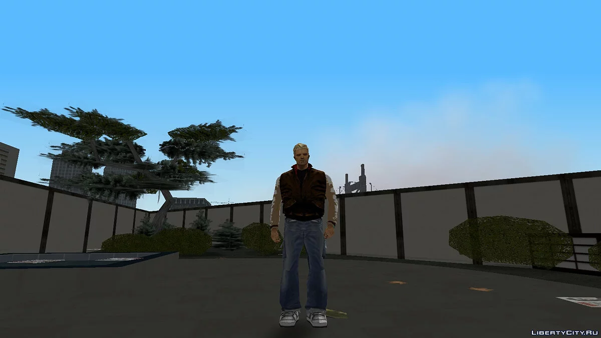Collection of skins / GTA 3