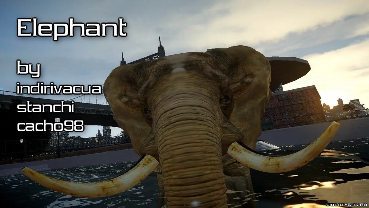 Elefante / GTA 4