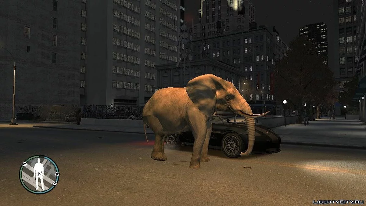 Elefante / GTA 4