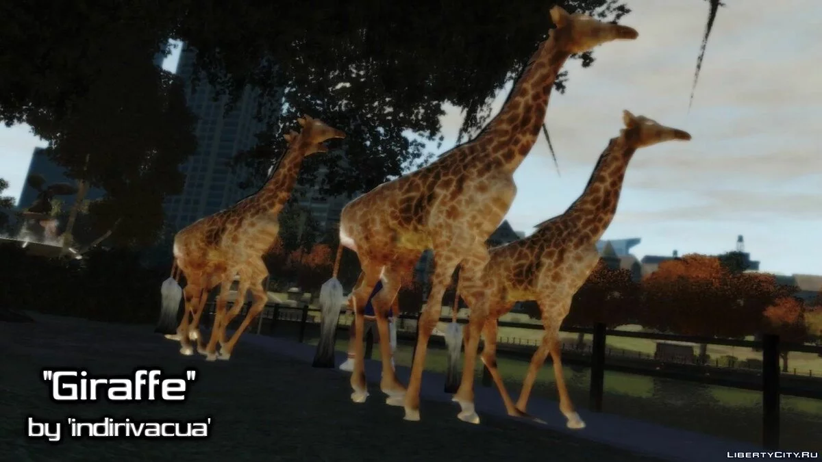 Jirafa / GTA 4