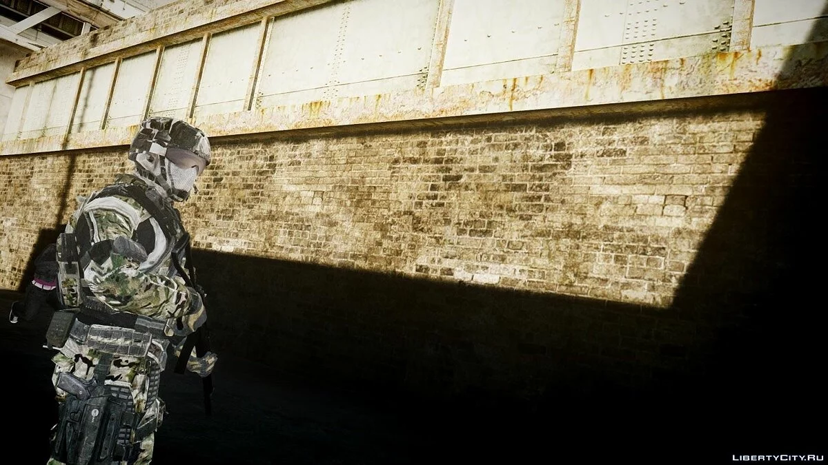 Call Of Duty Black Ops II USA Seal / GTA 4