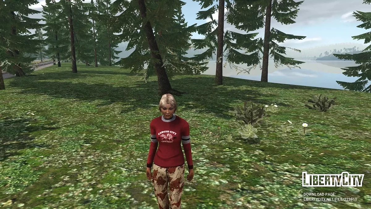 GTA: Criminal Russia Rage Skin Pack / GTA 4