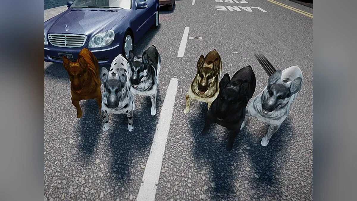Собаки / GTA 4