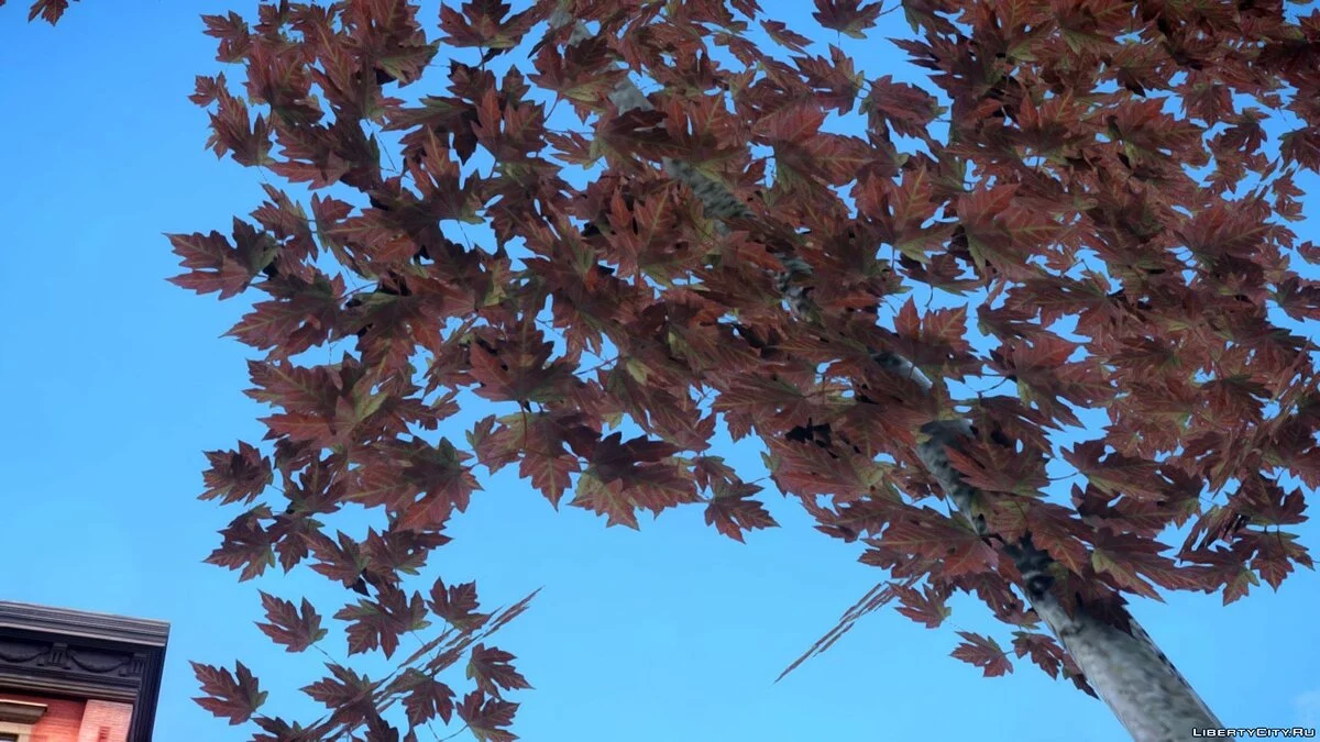 Autumn Trees by Compotik / GTA 4