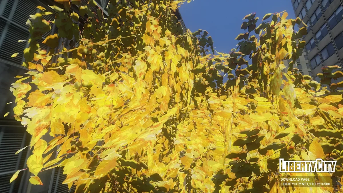 Autumn Textures Variety and Color Correction (Including LOD) / GTA 4