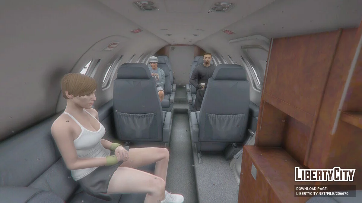 Cessna 550 Citation II / GTA 5