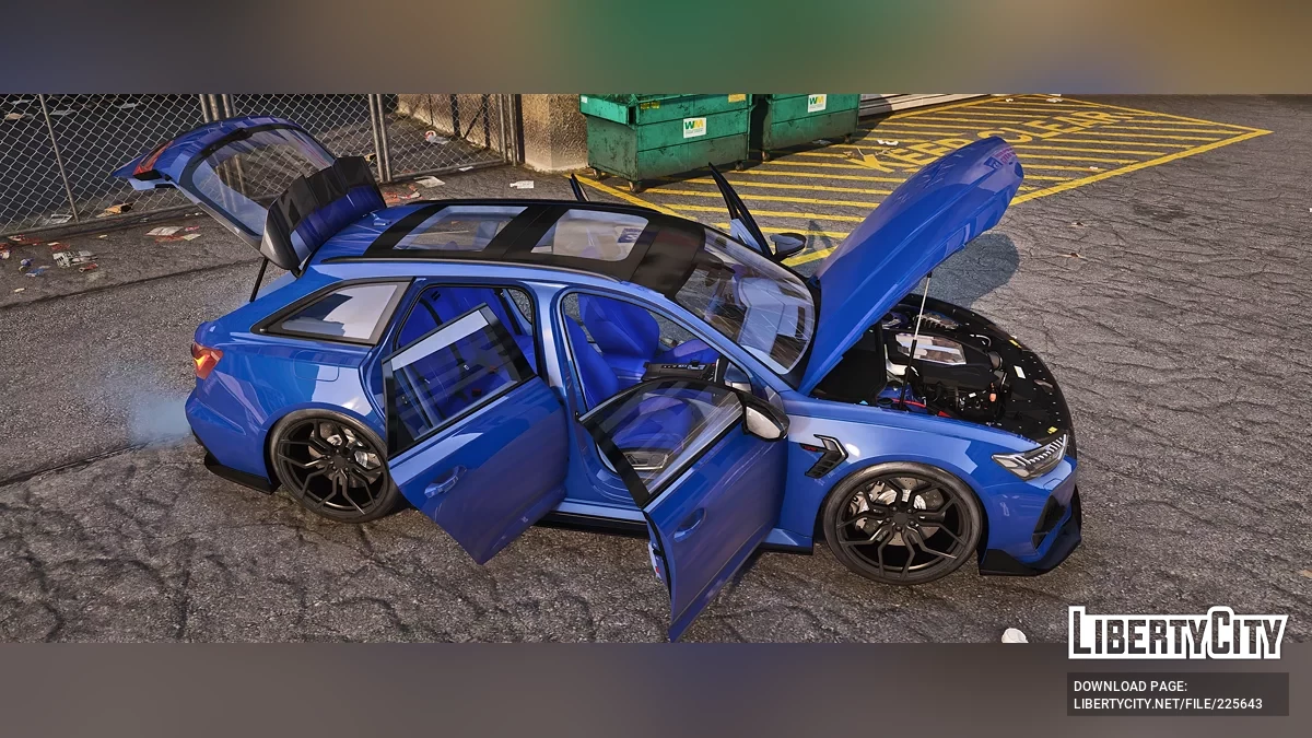 Audi RS6 CT Karbon / GTA 5