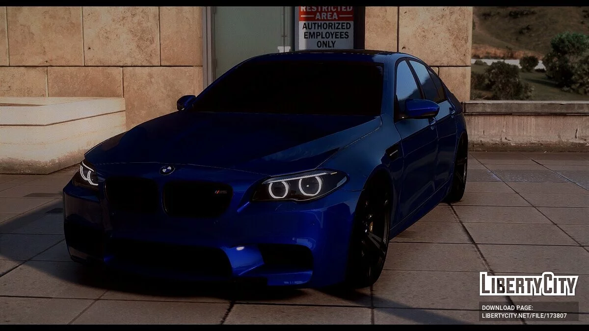 BMW M5 F10 / GTA 5