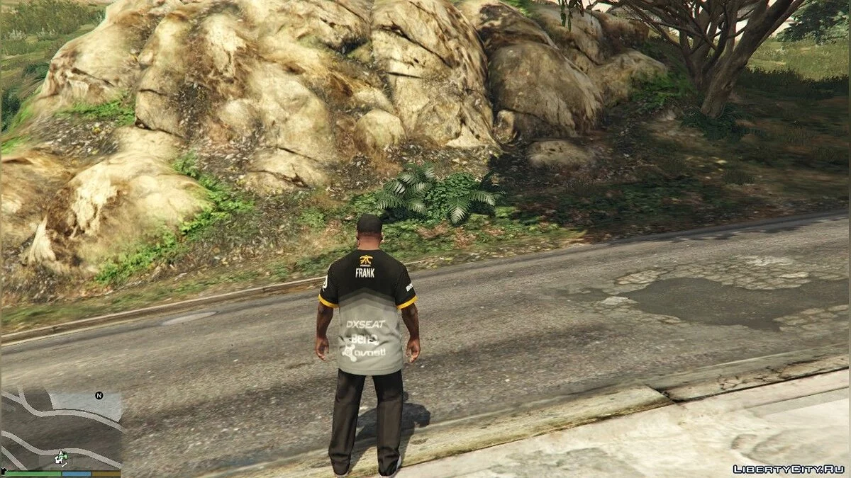 FNATIC Jersey for Franklin / GTA 5