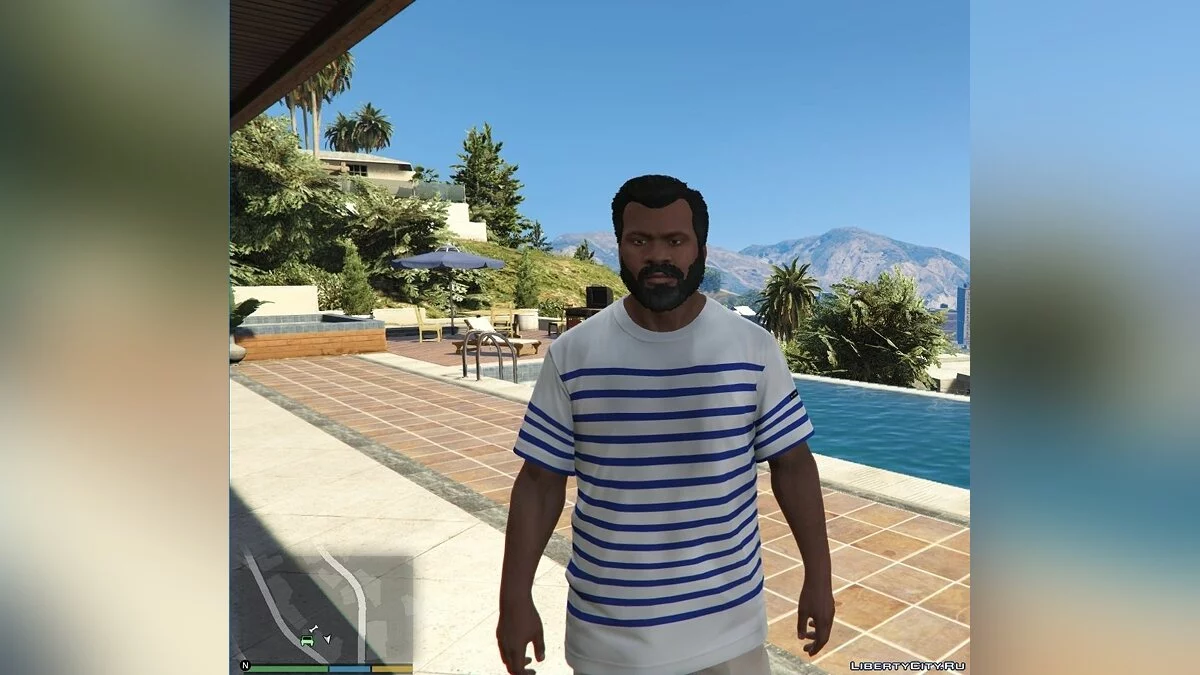 Franklin's T-Shirts / GTA 5