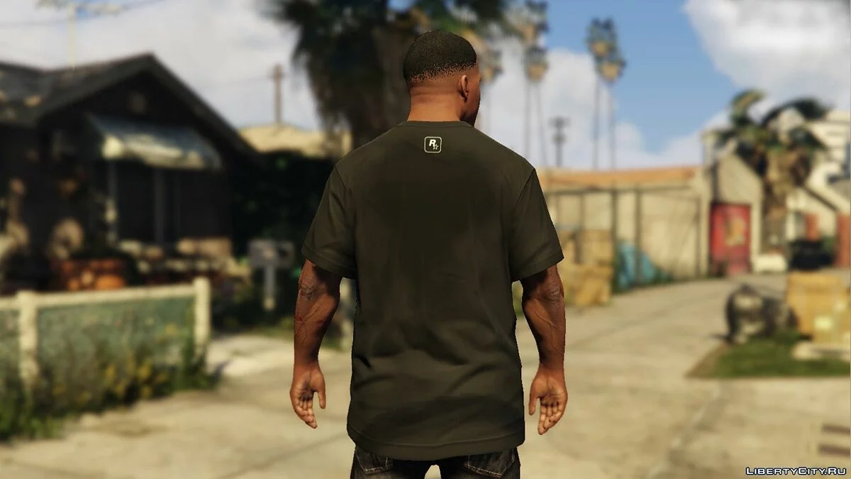 Футболка Grand Theft Auto V / GTA 5