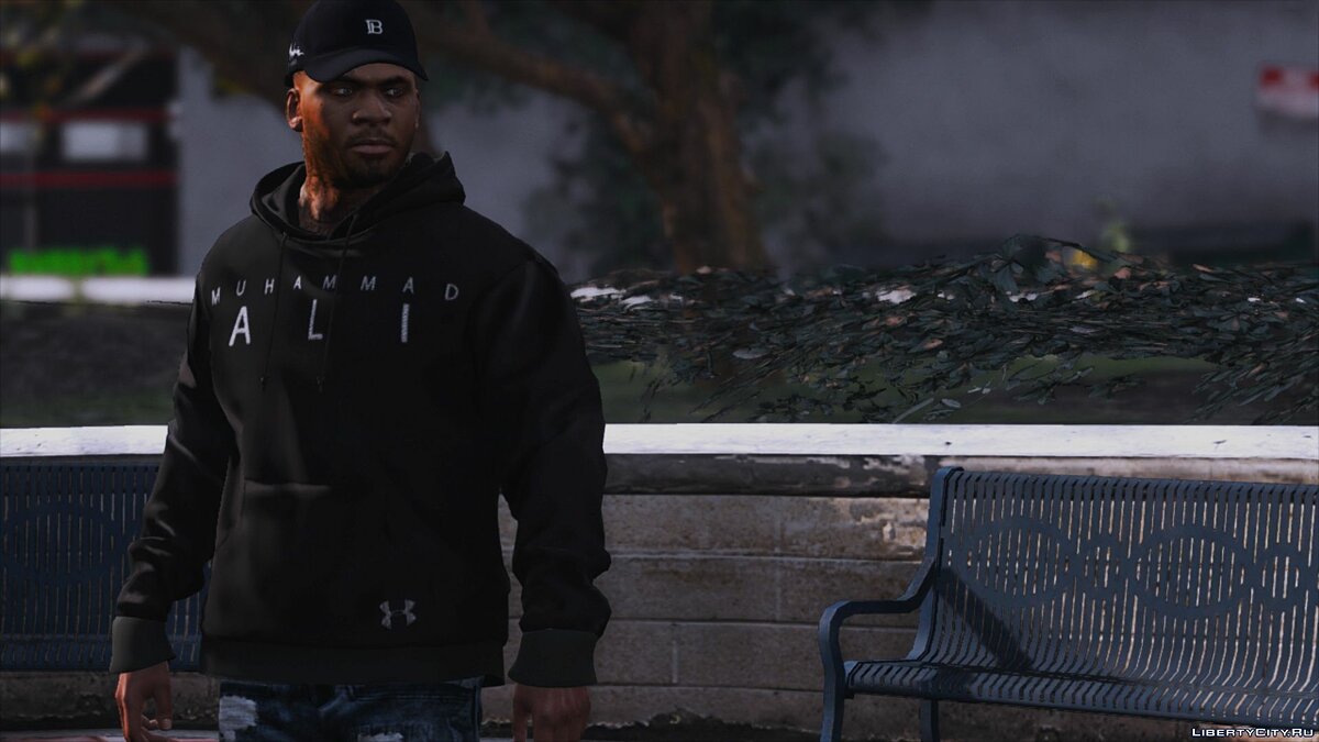 Download Hoodie from the brand GNARCOTIC for GTA 5