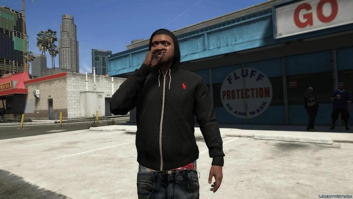 Polo Hoodie / GTA 5