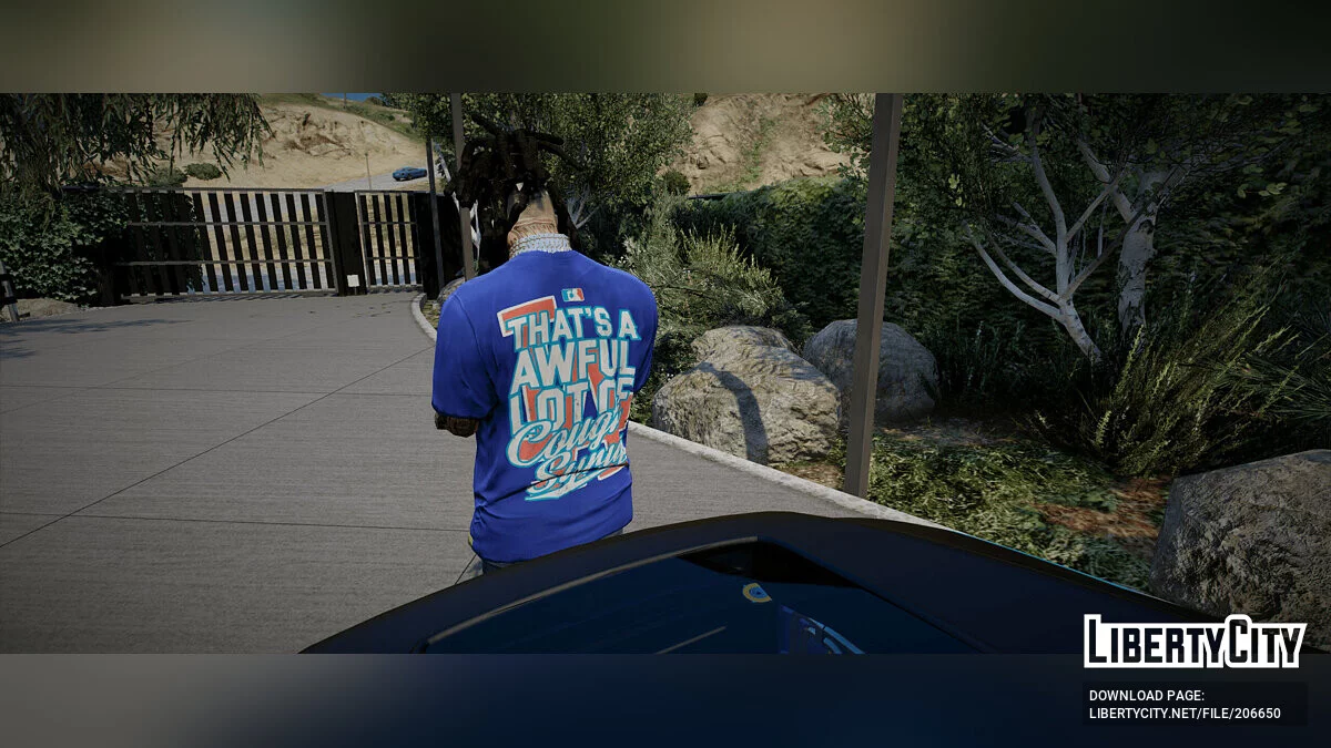 Awful Cough Syrup Shirts MP Male/Franklin / GTA 5