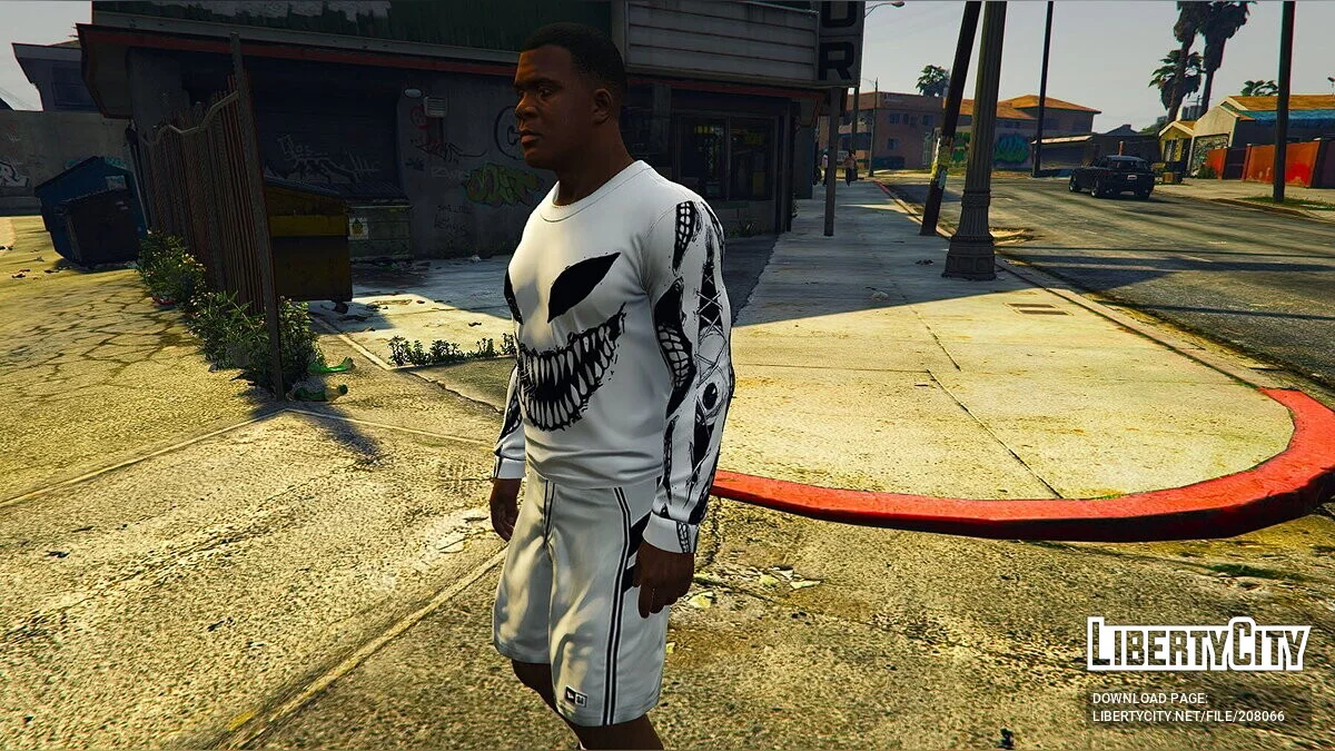 Franklin's sweatshirt collection / GTA 5