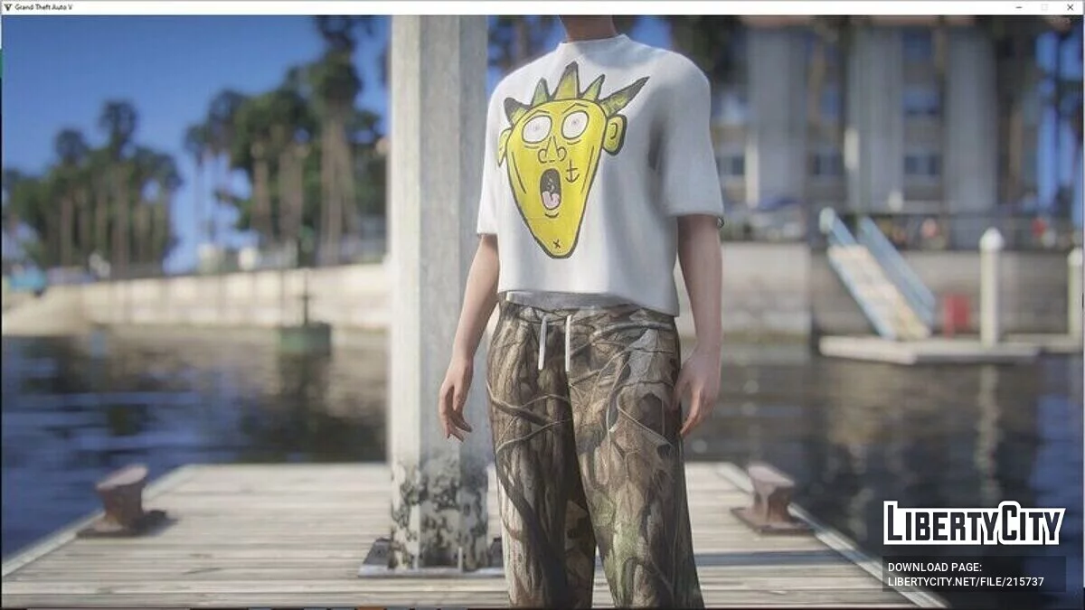 T-shirts pour femmes avec de jolis imprimés / GTA 5