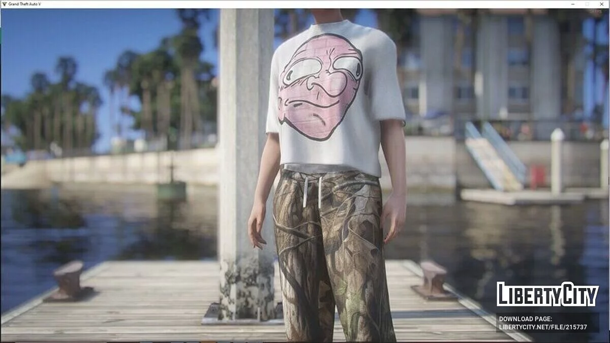 T-shirts pour femmes avec de jolis imprimés / GTA 5