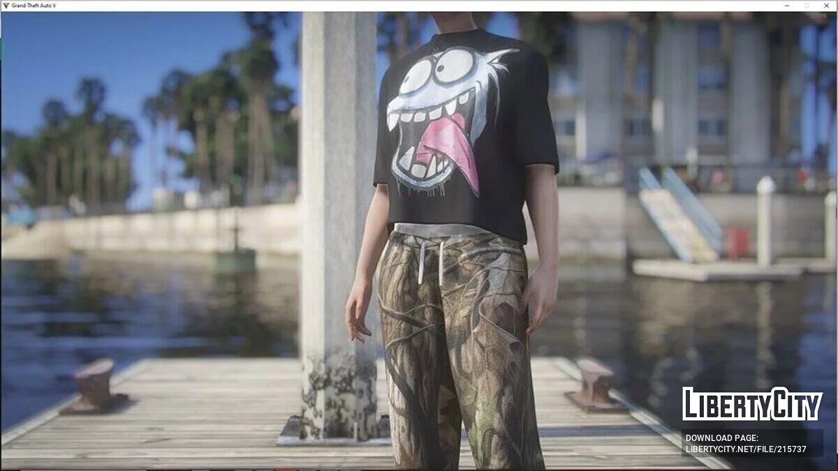 T-shirts pour femmes avec de jolis imprimés / GTA 5