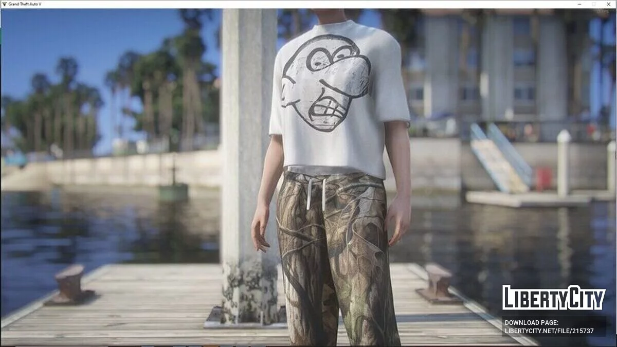 T-shirts pour femmes avec de jolis imprimés / GTA 5