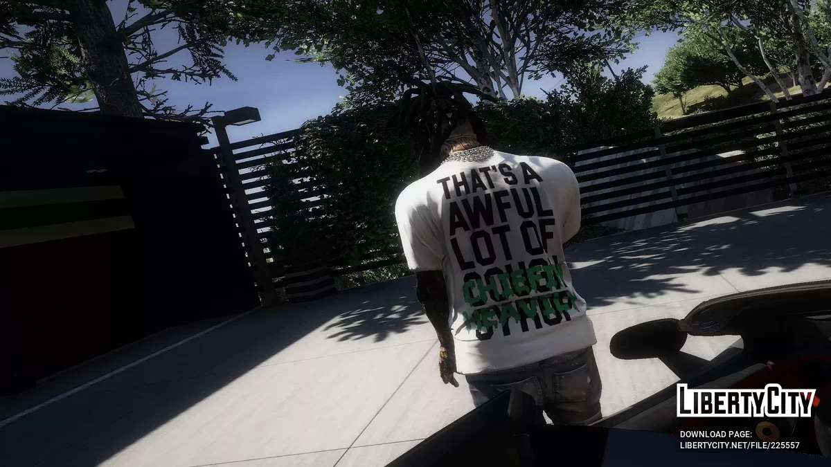 ALOCS T-Shirts for Franklin & MP Male / GTA 5