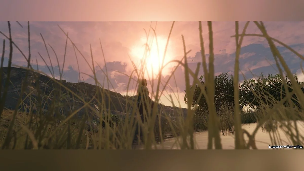 Mod Graphiques Communautaires 1.4 / GTA 5