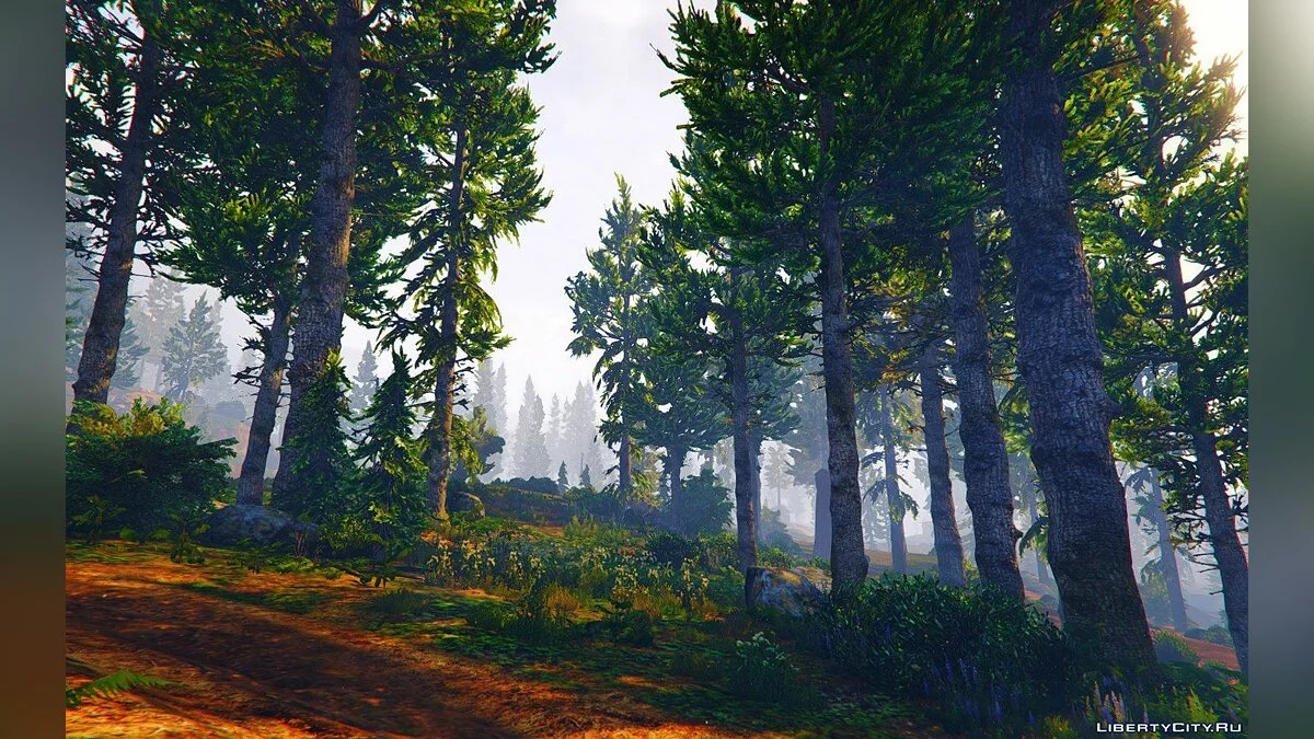 Gráficos Naturales GTA V 20.4.8 / GTA 5