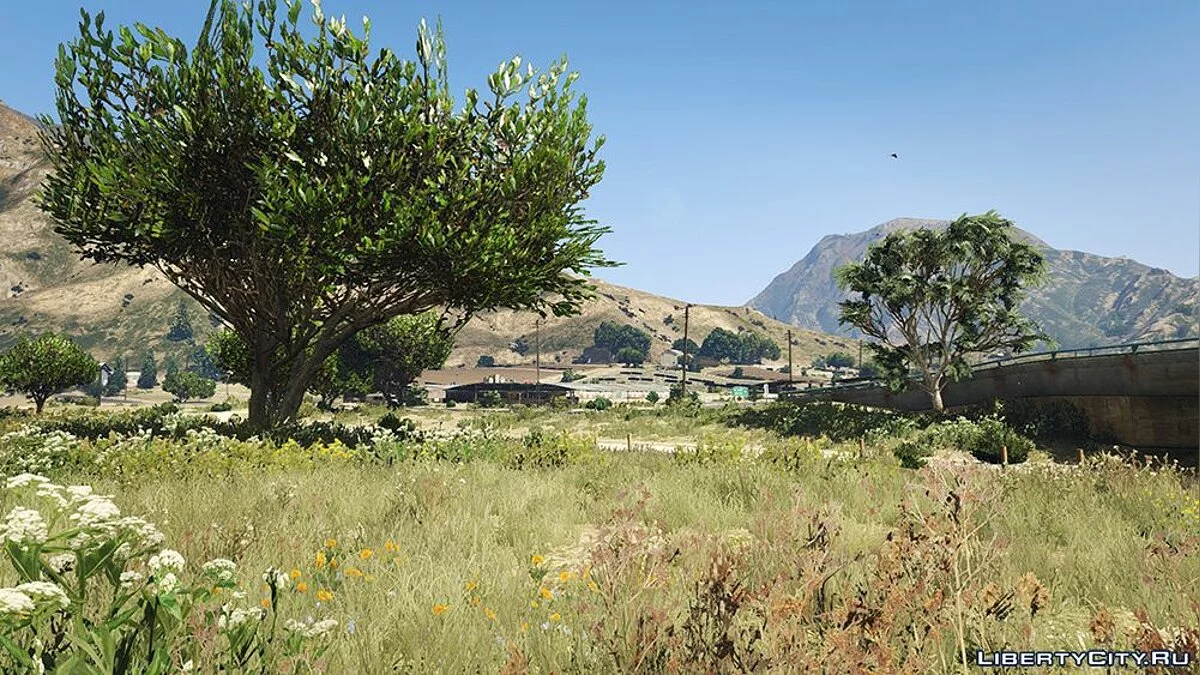 Revisión Visual Total v1.01 / GTA 5