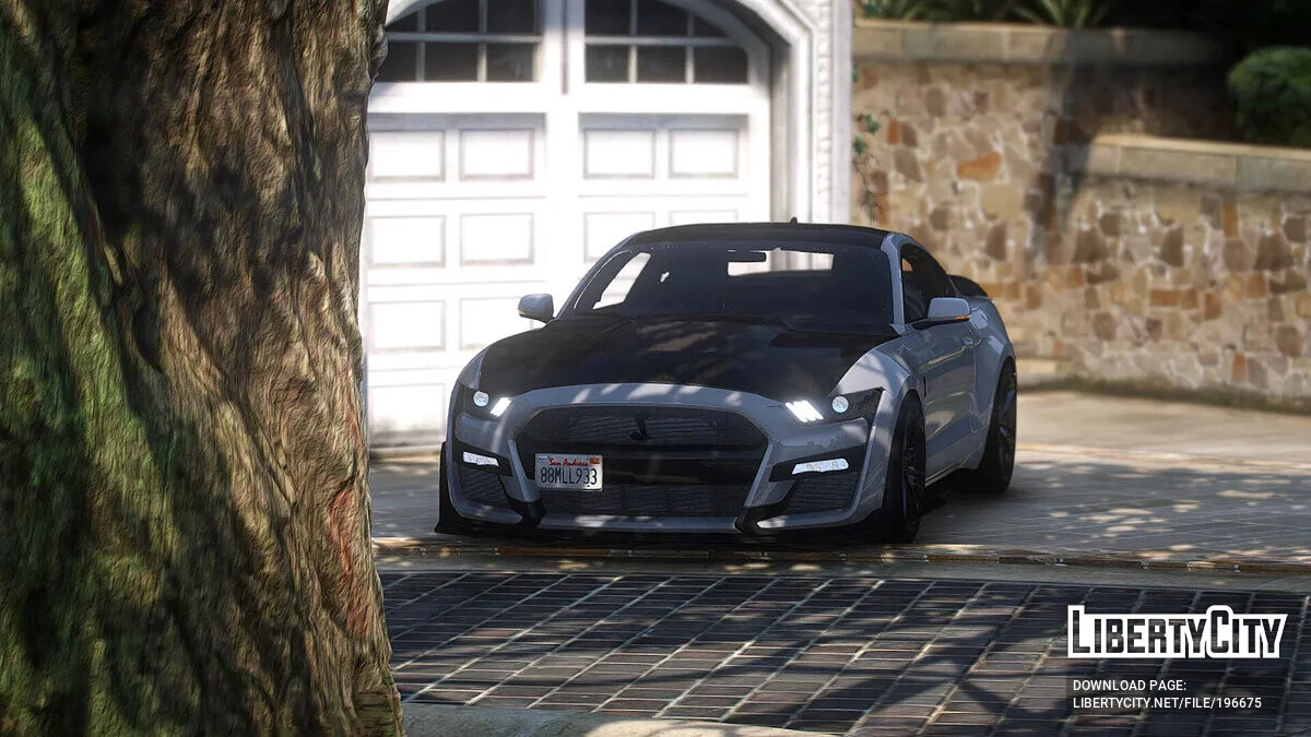 Ford Mustang Shelby GT500 Carbon Aero Package / GTA 5