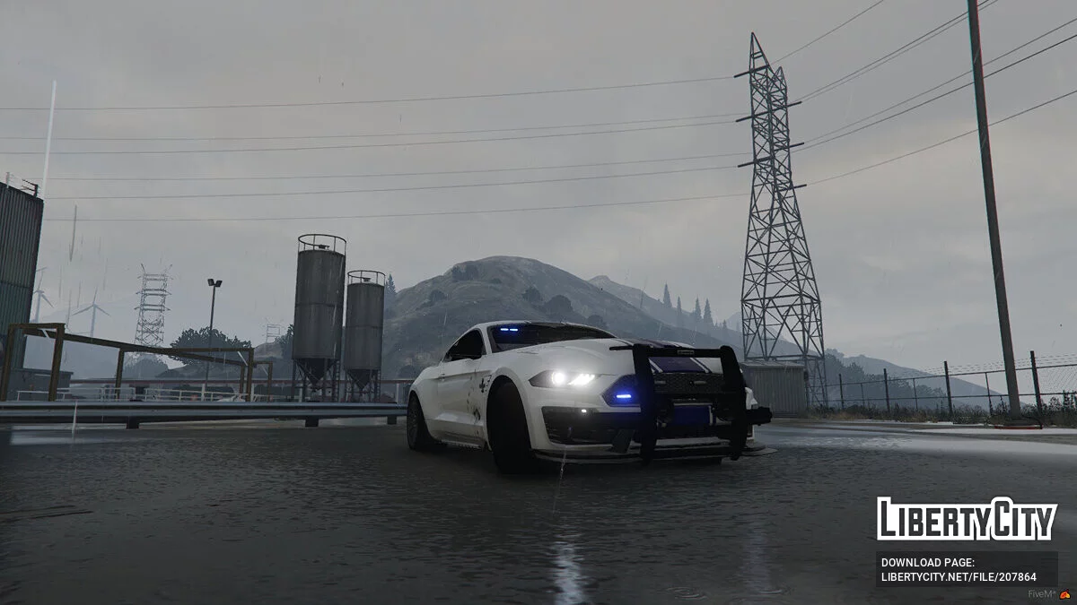2019 Ford Mustang Shelby Super Snake / GTA 5
