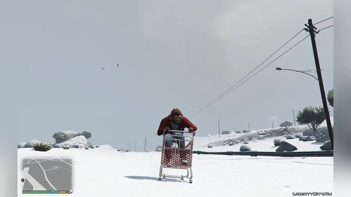 Einkaufswagen 1.0 / GTA 5