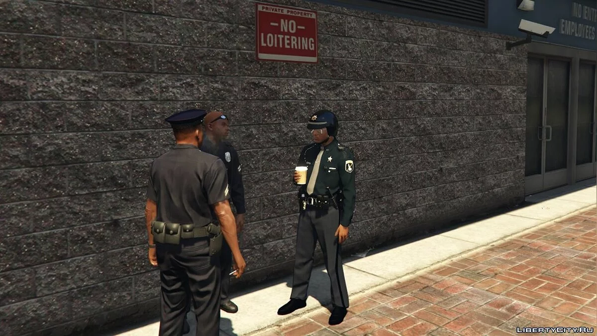 Schwarzer Patrouillenhelm / GTA 5