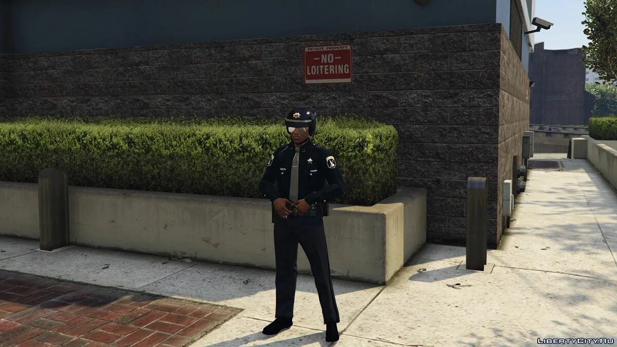 Schwarzer Patrouillenhelm / GTA 5