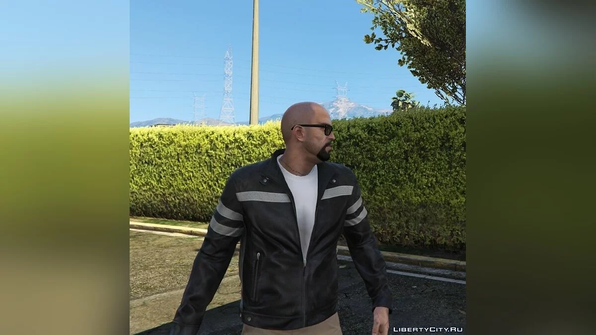Збірник борід для Тревора / GTA 5