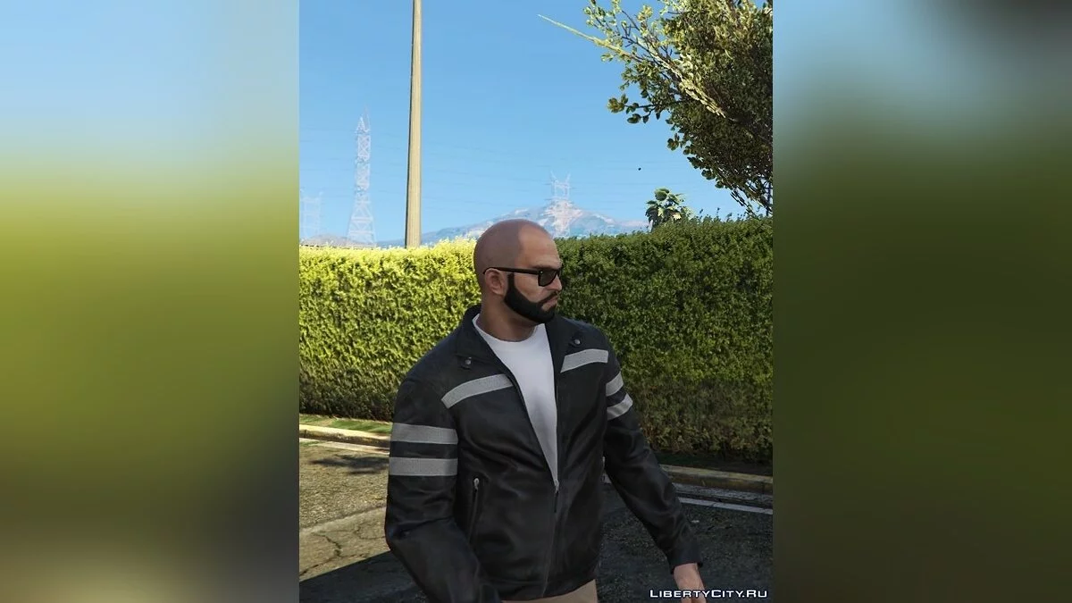 Збірник борід для Тревора / GTA 5