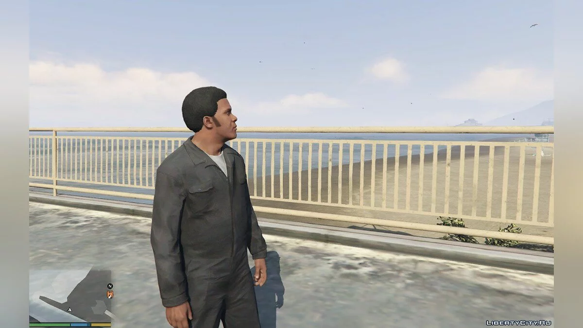 Бакенбарди Майкла та Франкліна / GTA 5