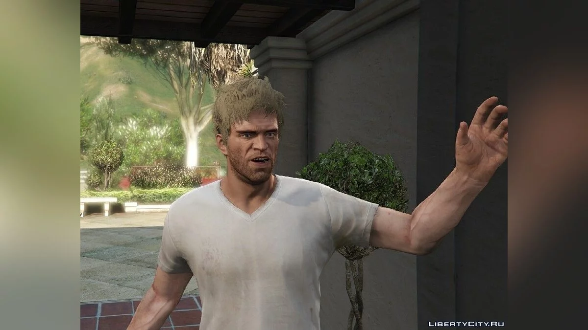 New Hairstyles, Face Textures, and Beard Pack for Trevor / GTA 5