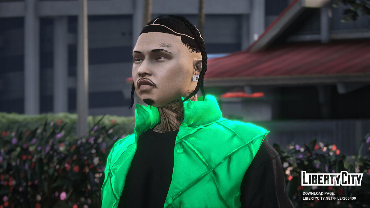 Download Parted braids for MP Male for GTA 5