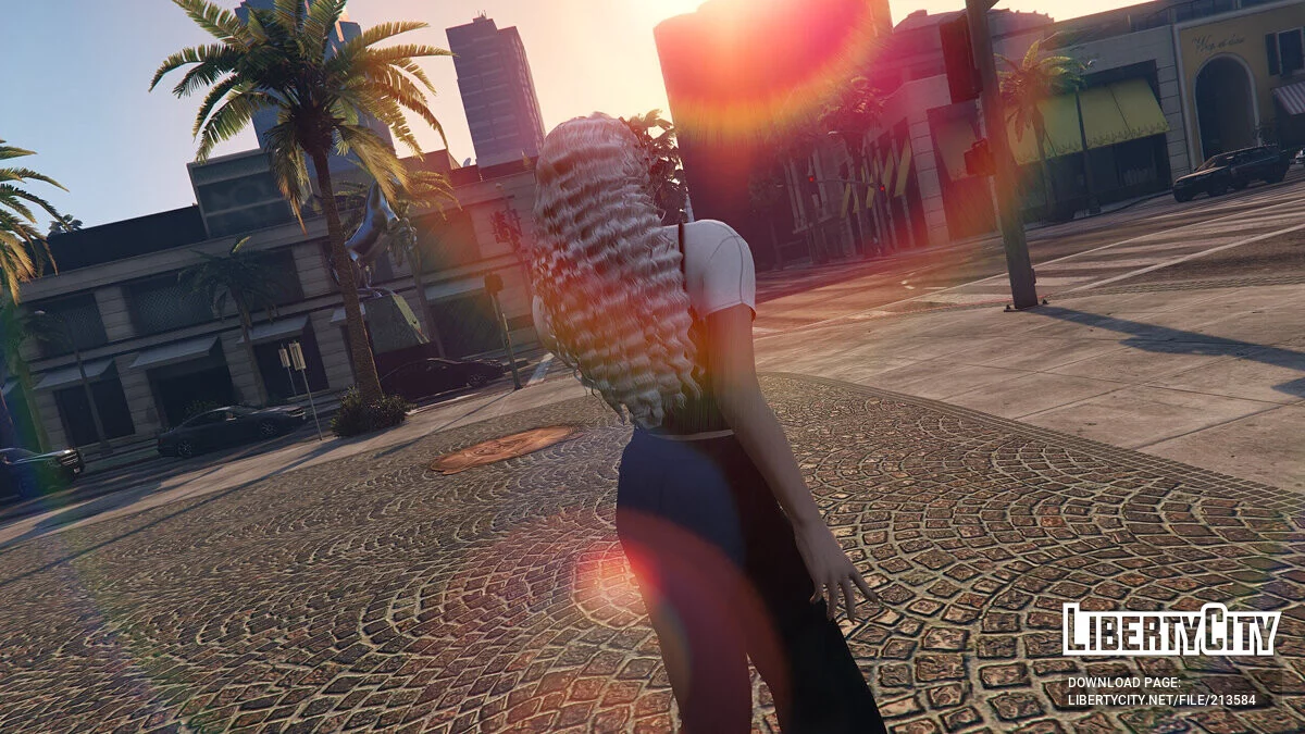 Vella Hairstyle pour MP Female / GTA 5