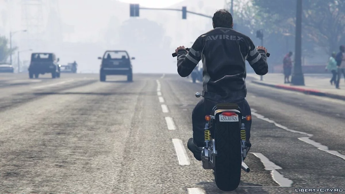 Veste Avirex pour Trevor / GTA 5