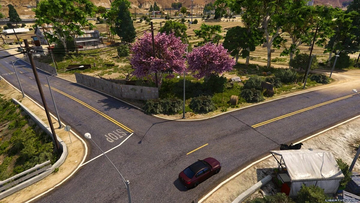 Проект "Embelia" (додаток) 1.0 / GTA 5