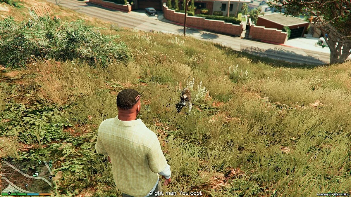 Хаскі замість Чопа / Мод Chop to Husky 1.0	  / GTA 5