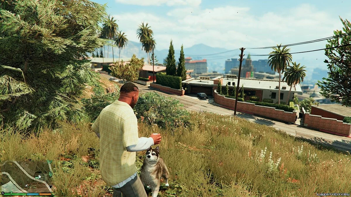 Хаскі замість Чопа / Мод Chop to Husky 1.0	  / GTA 5