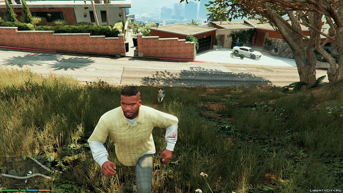 Хаскі замість Чопа / Мод Chop to Husky 1.0	  / GTA 5
