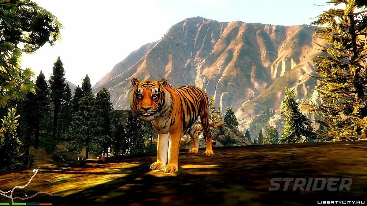 Бенгальський тигр / GTA 5
