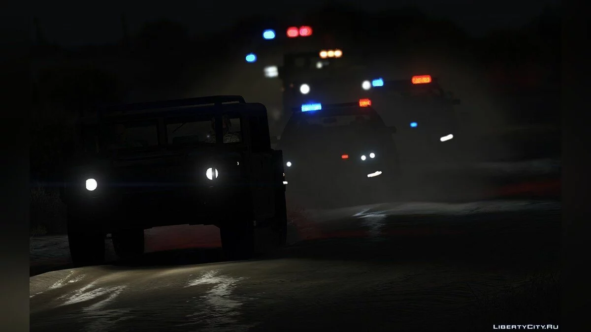 Випуск різноманітності 2.0.6 / GTA 5