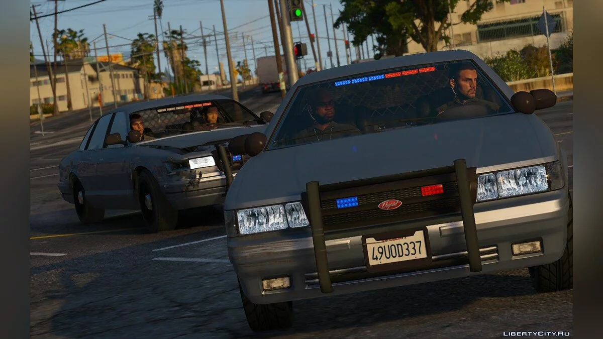 Випуск різноманітності 2.0.6 / GTA 5