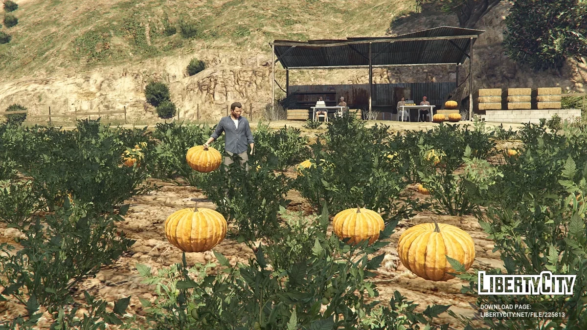 Fazenda de outono em Grapeside / GTA 5