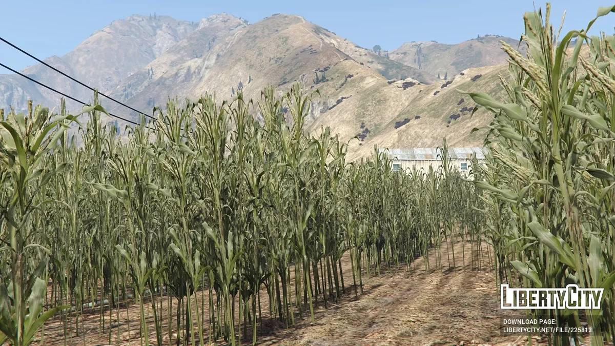 Fazenda de outono em Grapeside / GTA 5