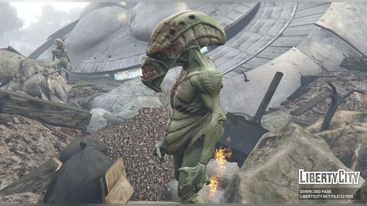 UFO Crash / GTA 5